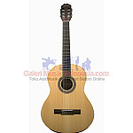 Hofmann AC100E Nylon Acoustic Electric Guitars